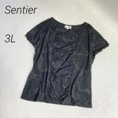 Sentier　ギャザー　 Tシャツ　ブラウス　ラメドット　透け感　半袖のサムネイル