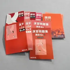 予習シリーズ 6年 国語 上下　演習問題集　4科のまとめ　計10冊