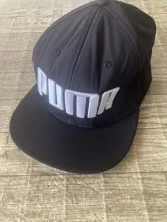 Item thumbnail for item 673e54ef-2b40-4cb2-965d-bf018b789451