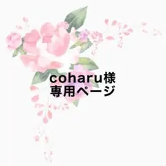 coharu様専用ページ