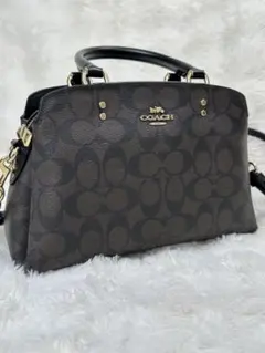 2026年最新】coach リリーキャリーオールの人気アイテム - メルカリ