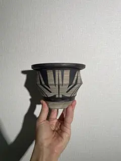 大貫 弘由岐 鉢 Amazon.co.jp: 大貫弘由岐 作家鉢 植木鉢 陶器鉢 コーデックス