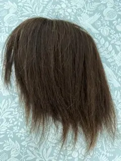 Item thumbnail for item 0170f280-5f43-416d-bbfd-cd0d5e9f6a42