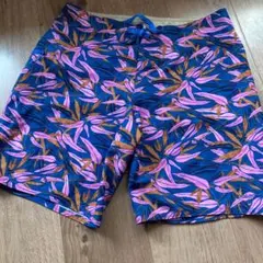 パタゴニア❤︎水着スイムパンツショートパンツサーフパンツ