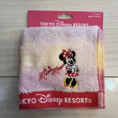 ☆新品未使用☆　東京ディズニーリゾート限定 ミニーちゃん　ハンドタオル