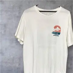 ハワイハレイワ店限定パタゴニアpataloha TシャツM