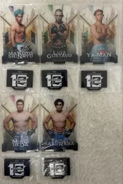 Item thumbnail for item df8d91fb-b7c6-42e9-9752-7f9e5dfdb31b