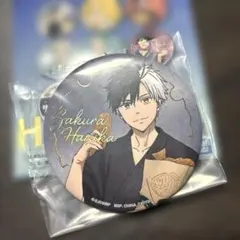 最安値❗️ウィンドブレイカー　桜遥 一番くじ ウィンドブレイカー 缶バッチ