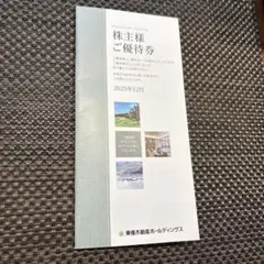 東急不動産ホールディングス 株主優待券 100株 2025年12月発行