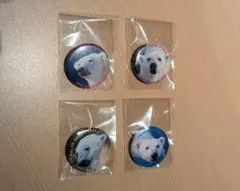 しろくま　ピース　ミニ缶バッチ　4個(全4種)　ホッキョクグマ　とべ動物園