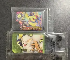 【匿名配送】フレンダ　ピカチュウ＆ウィンディ