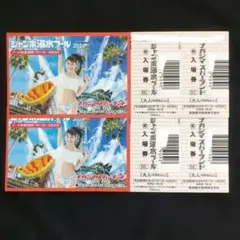 ナガシマスパーランド ジャンボ海水プール 入場券 2枚 - メルカリ