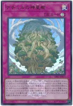 Item thumbnail for item be6f6fc9-3c05-4aef-9815-ecb6b83dfed7