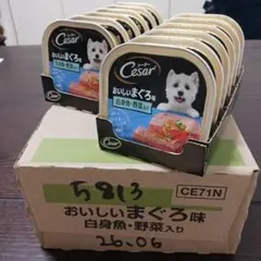 Item thumbnail for item 7c053646-3200-4a85-b581-fc06b6bc6b7d