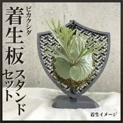 豊谷 亮様 リクエスト 2点 まとめ商品