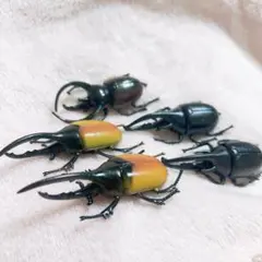 昆虫 フィギュア まとめ売り 5体　クワガタ カブトムシ