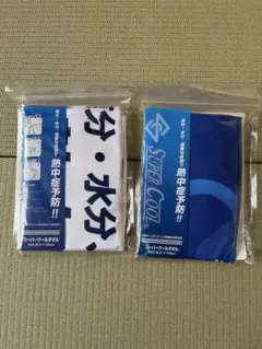 Item thumbnail for item bc43fd1c-a256-40e8-b171-2ee3407ceae4