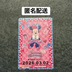 ディズニーリゾートライン フリーきっぷ ミニー ファンダーランド パルパルーザ