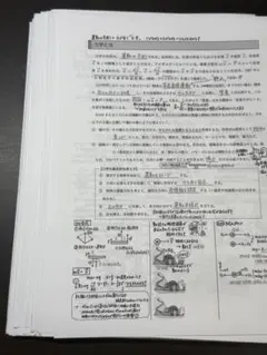 2026年最新】鉄緑会プリントの人気アイテム - メルカリ