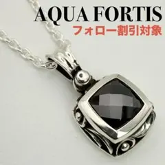 ◆【AQUA FORTIS】 アクアフォーティス ペンダントのサムネイル