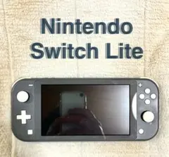 Nintendo Switch Lite 本体のみ 美品