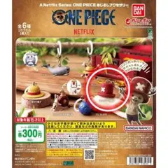 ワンピース めじるしアクセサリー