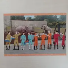 ハイキュー!! 東武動物公園コラボ特典 ポストカード