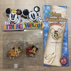 ディズニーランド　ディズニーシー　チケットケース　ピンバッジ　5周年
