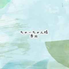 ちゃーちゃん様　専用