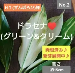 H T (ずんぽろひ)様 リクエスト 3点 まとめ商品