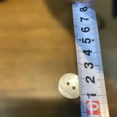 貝製ボタン クリーム色 2穴 約1.5cm