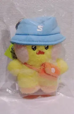 鍋*様 【箱傷み大の未開封品】ラインフレンズ　サリーぬいぐるみ 2025年最新】LINE サリー ぬいぐるみの人気アイテム - メルカリ