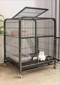 Item thumbnail for item 07326bb9-cd70-479d-8878-259e611852a4