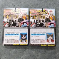 新品☆未開封　なめ猫カード　昭和レトロ　44枚