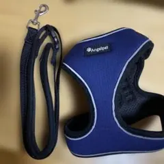 Item thumbnail for item c69b8ce7-49c8-4d48-9803-74845bcdbea8