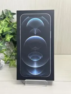 ✅バッテリー100％✨iPhone 12 Pro Max 128GB ✨