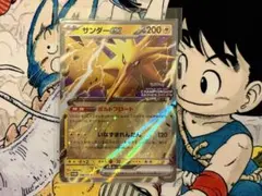 サンダーex ポケモンカードゲーム　チャンピオンシップシリーズ2024のサムネイル