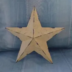 バーンスター オーナメント ロンハーマン wtw 西海岸