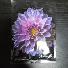 Item thumbnail for item b3de75be-8857-4561-8505-294ed364a43f