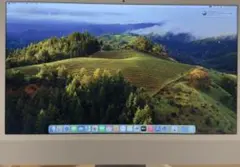 き*ん様 【美品】Apple iMac (M1,16GBメモリ,1TB SSD)