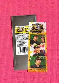 阪神タイガース　優勝記念　フォトグレイ　岩崎優