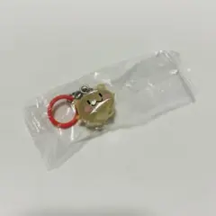 truz めじるしアクセサリー　treasure ハルト　RURU