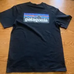 美品！patagonia 半袖Tシャツ　メンズMサイズ　ブラック　バックプリント