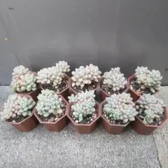 hide様 リクエスト 3点 まとめ商品