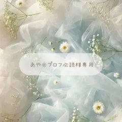 あや※プロフ必読様専用