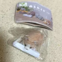 コーギー　ゆるみくじ　こいぬ