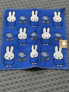 Item thumbnail for item bc03d547-91b2-46ed-a610-f9f80a669ffd