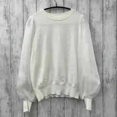 【 VIS 】ビス パワーショルダー袖オーガンジーニットプルオーバー