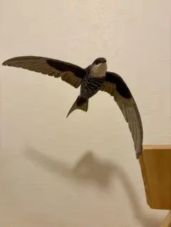 メジロ バードカービング 野鳥彫刻 木彫りの野鳥 - メルカリ