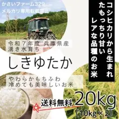 令和7年度 兵庫県 シキユタカ もっちり甘め 湧き水育ち 農家直送 20kg